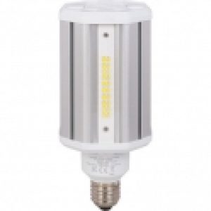 Ampoule LED TrueForce finition claire – E27 – 33 w – Philips