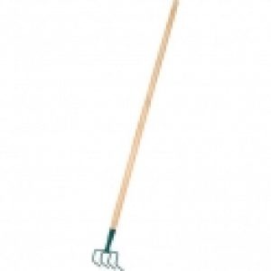 Croc de jardin – Cap Vert