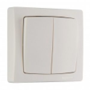 Double va et vient 10 AX Saillie complet – Legrand