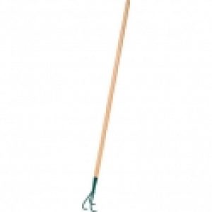 Griffe piocheuse – Cap Vert