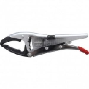 Pince étau BL250 – Dolex