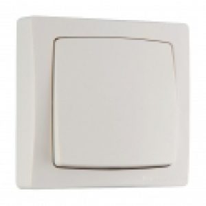 Va et vient 10 AX Saillie Complet – Legrand