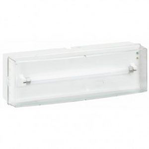 BAES-BAEH d’évacuation – Eco1