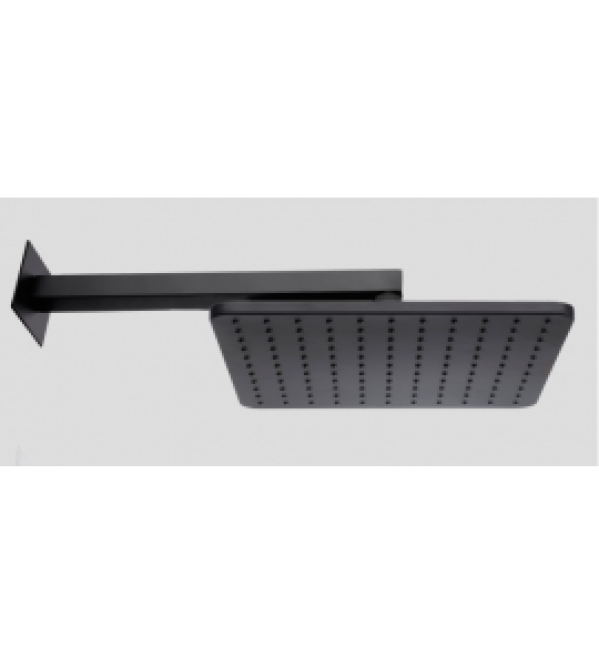 Bras de douche avec pomme de tȇte Bossini H69598H