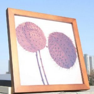 Cadre photo de style classique en bois