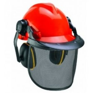 Casque forestier complet