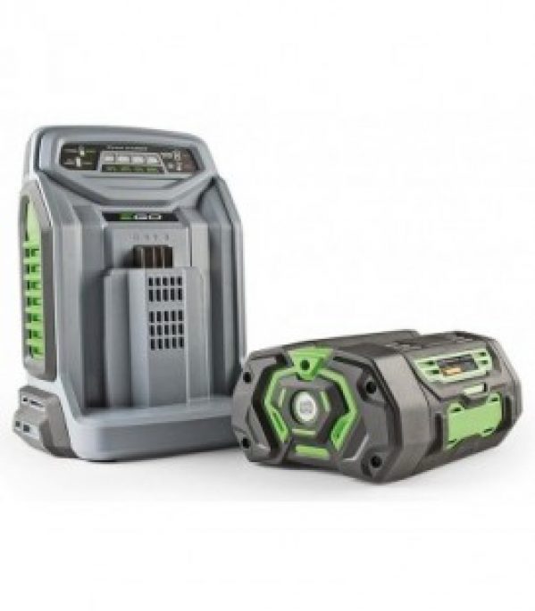 chargeur rapide EGO CH5500E convient pour batterie 56V