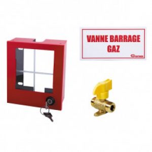 Coffret coupure Gaz avec vanne NF RG10 – mâle G 3/4&Prime; – 155x140x70mm