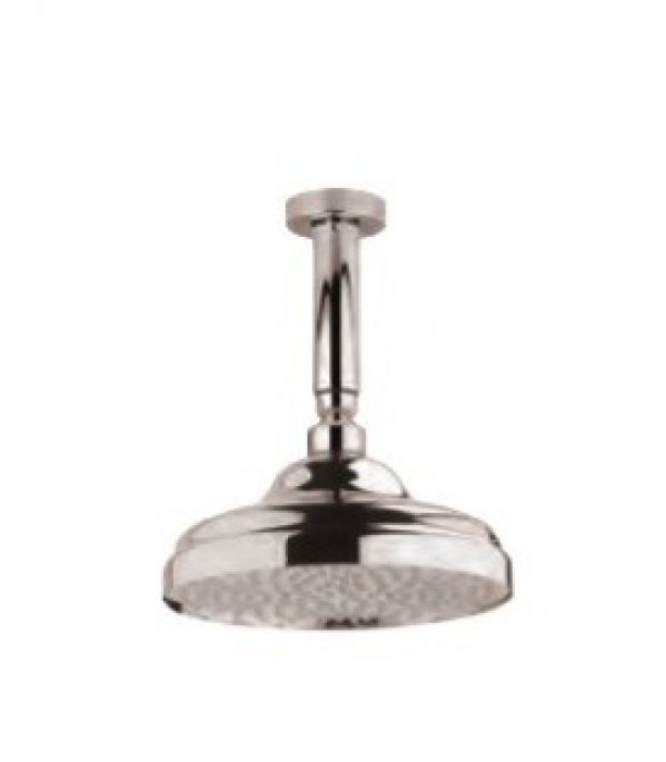 Douche de tête 1866 et bras au plafond