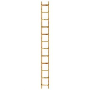 Echelle de toit – professionnelle renforcée