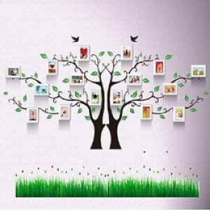 Ensemble de 16 cadres photos de style contemporain en bois blanc avec autocollant de mur