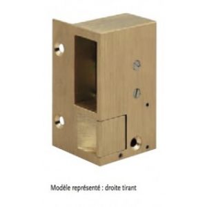 Gâche électrique à émission et contact stationnaire – 12 volts – N°1