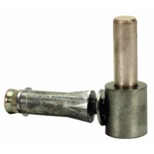 Gond à vis en inox 316 et cheville