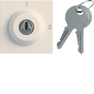 Inter clé 2 posi. 2M dune – APPAREILLAGE MURAL GALLERY HAGER WXF615D