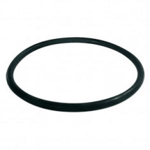 Joint torique pour filtre fioul bitube RG 2 et RG Z – Watts 22L0199013