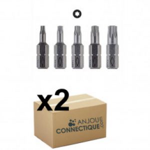 Lot de 2 Embouts professionnel TX étoile Torx