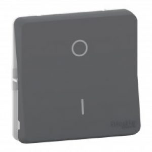 Mureva Styl – Interrupteur bipolaire – composable – IP55 – IK08 – gris