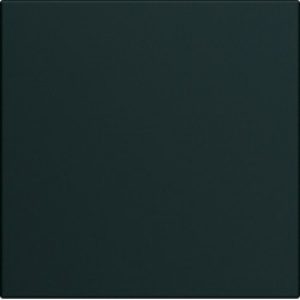 Obturateur 2 modules night – APPAREILLAGE MURAL GALLERY HAGER WXF689N