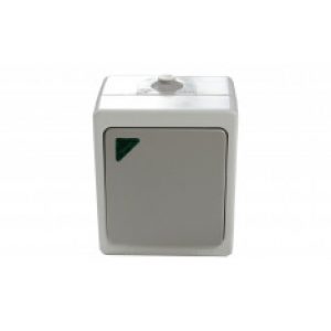 Poussoir bascule lumineux étanche NF