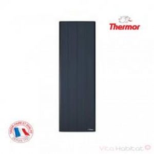 Radiateur électrique à Fluide THERMOR BILBAO 3 Gris Ardoise 1000W Vertical 494304