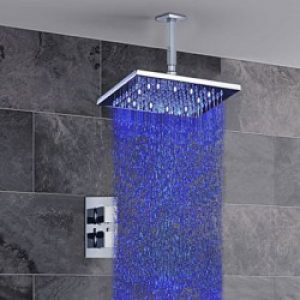 Robinet de douche style contemporain à fixer au plafond
