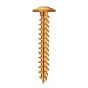 Vis de penture Torx – acier zingué bichromaté – filetage total