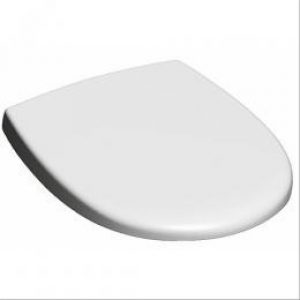 Abattant déclipsable à frein de chute Exception Dubourgel – DUBOURGEL