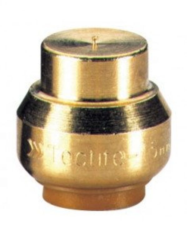 Bouchon tectite femelle