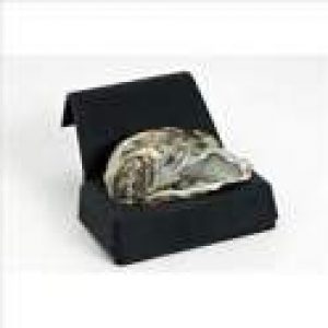 Cale à huitre Seule Noir