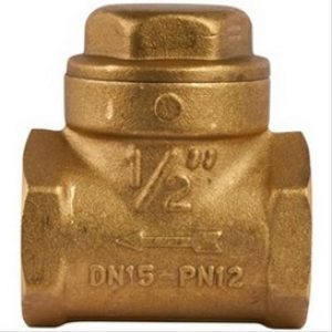 Clapet de retenue à disque nitrile FF1 »1/2 en laiton