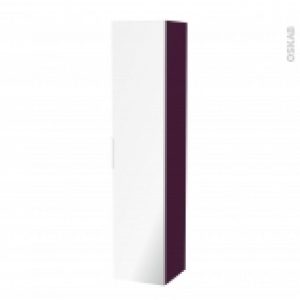 Colonne De Salle De Bains 1 Porte Miroir Keria Aubergine Cotes Decors L40 X H182 X P40 Cm
