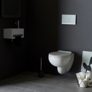 Cuvette suspendue sans bride -rimless-…