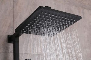 Douche de tête  ABS 3030TB noir – 22,5 x 22,5 x 1 cm