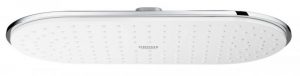 Douche Plafond Grohe Rainshower 300x150mm 1 jet Blanc Lune