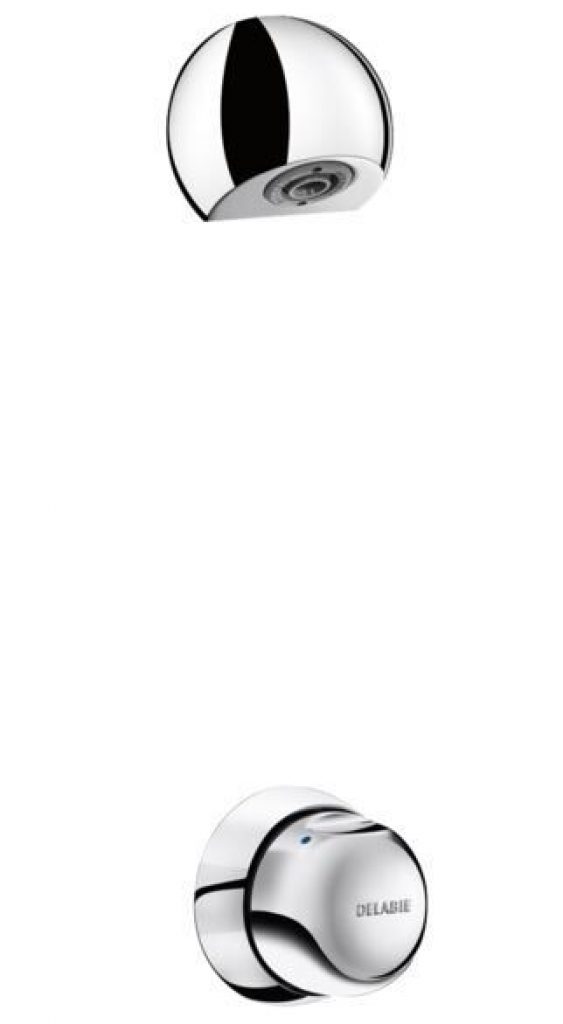 Ensemble de Douche Delabie TEMPOMIX 1 jet 796209