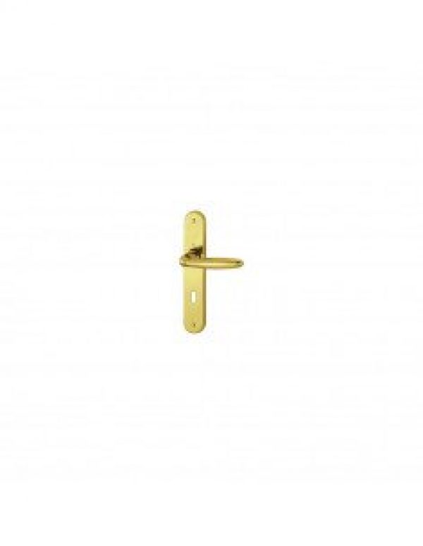 HOPPE Ensemble sur plaques laiton VERONA 2818404 bec de canne a…