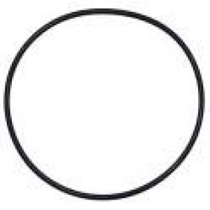 Joint torique de 180 mm de diamètre pour dôme de filtre Ardeche (d.205mm)