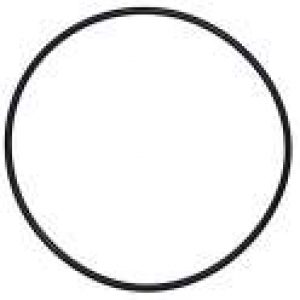 Joint torique de 200 mm de diamètre pour dôme de filtre Calpas…