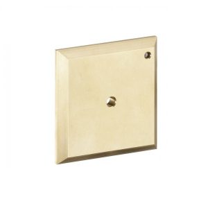 Plaque Hansgrohe de rinçage iControl Manuel d&rsquo;utilisation