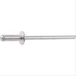 Rivet tête plate 3  X10 boîte de  500
