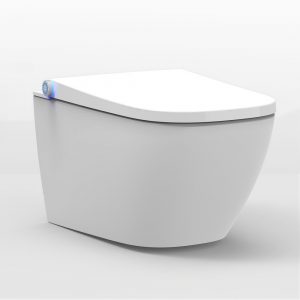 Toilettes lavantes BERNSTEIN Basic 1104 en blanc – cuvette complète à fond creux sans bride
