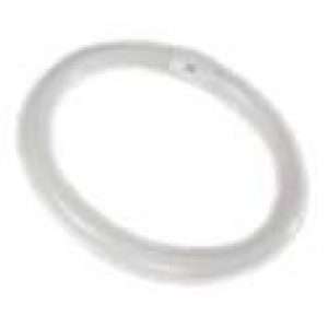 Tube circline : 40W 2Gx13 840