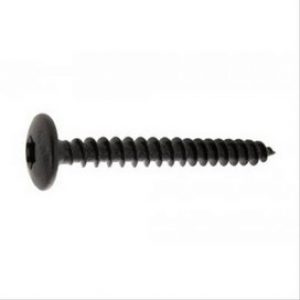 Vis penture TX Noir 6X20boîte de  250 – VISWOOD