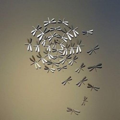 21 Autocollants de libellules en différentes tailles