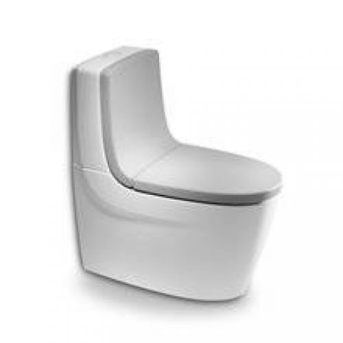 Abattant et siège gris Khroma Roca