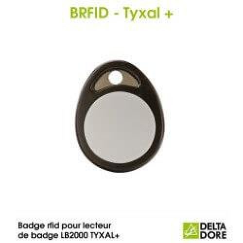 Badge rfid pour lecteur de badge LB2000 TYXAL+ – RFID TYXAL+ Delta Dore 6413224