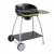 Barbecue charbon – Isy Fonte 2