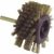 Brosse radiale – Gerlon