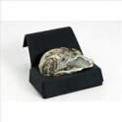 Cale à huitre Seule Noir