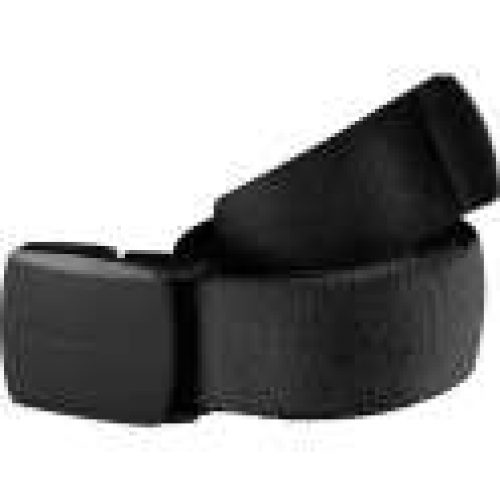 Ceinture en toile Pro – Dickies